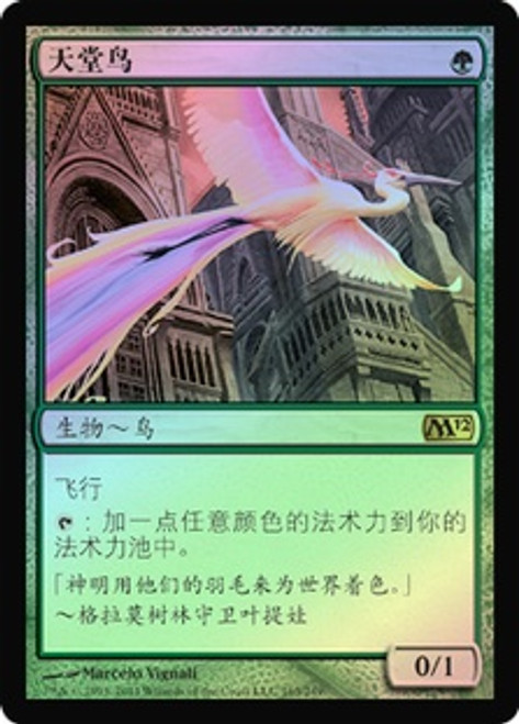 即時発送極鳥/Birds of Paradise 2ED BGS4 緑