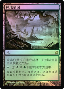 Woodland Cemetery
Innistrad (Foil) - Chinese Simplified
Single
Magic The Gathering