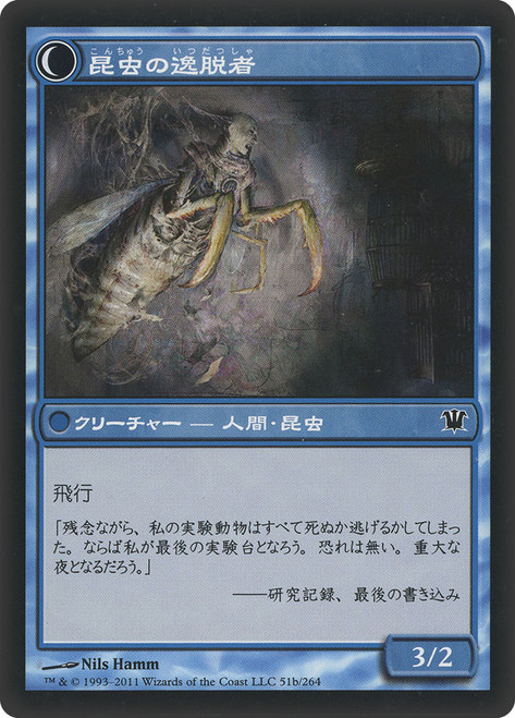 Delver of Secrets // Insectile Aberration | Innistrad - Japanese