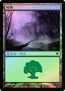 Forest (#262)
Innistrad (Foil) - Chinese Simplified
Single
Magic The Gathering