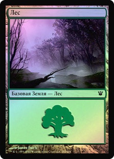 Forest (#262)
Innistrad (Foil) - Russian
Single
Magic The Gathering