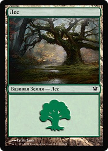 Forest (#264)
Innistrad - Russian
Single
Magic The Gathering