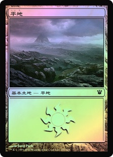 Plains (#251)
Innistrad (Foil) - Japanese
Single
Magic The Gathering