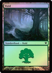 Forest (#263)
Innistrad (Foil) - German
Single
Magic The Gathering