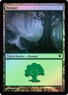 Forest (#263)
Innistrad (Foil) - Spanish
Single
Magic The Gathering