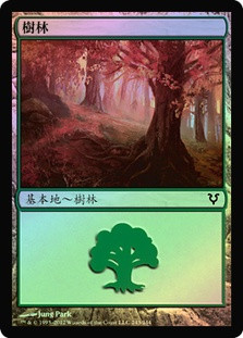 Forest (#243)
Avacyn Restored (Foil) - Chinese Traditional
Single
Magic The Gathering