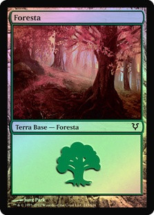 Forest (#243)
Avacyn Restored (Foil) - Italian
Single
Magic The Gathering
