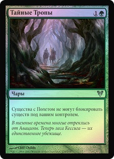 Bower Passage
Avacyn Restored (Foil) - Russian
Single
Magic The Gathering