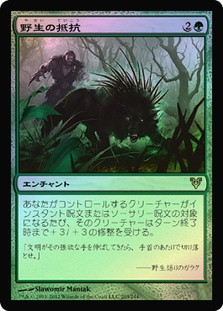 Wild Defiance
Avacyn Restored (Foil) - Japanese
Single
Magic The Gathering