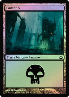 Swamp (#263)
Return to Ravnica (Foil) - Spanish
Single
Magic The Gathering