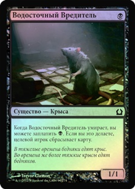 Drainpipe Vermin
Return to Ravnica (Foil) - Russian
Single
Magic The Gathering