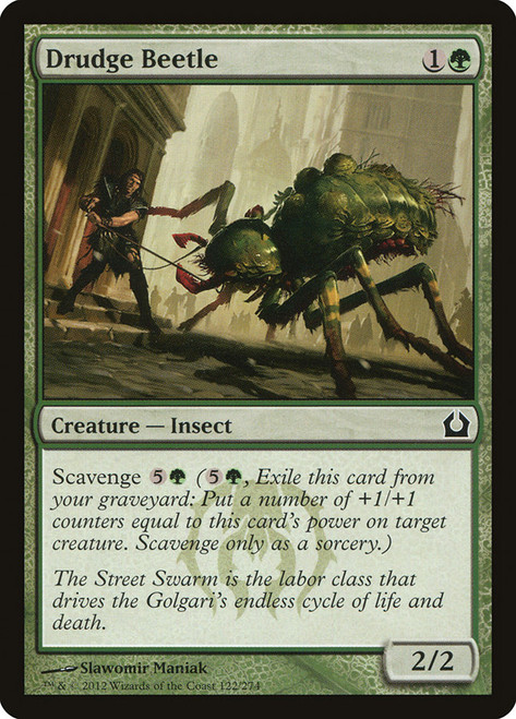 Drudge Beetle\nReturn to Ravnica\nSingle\nMagic The Gathering