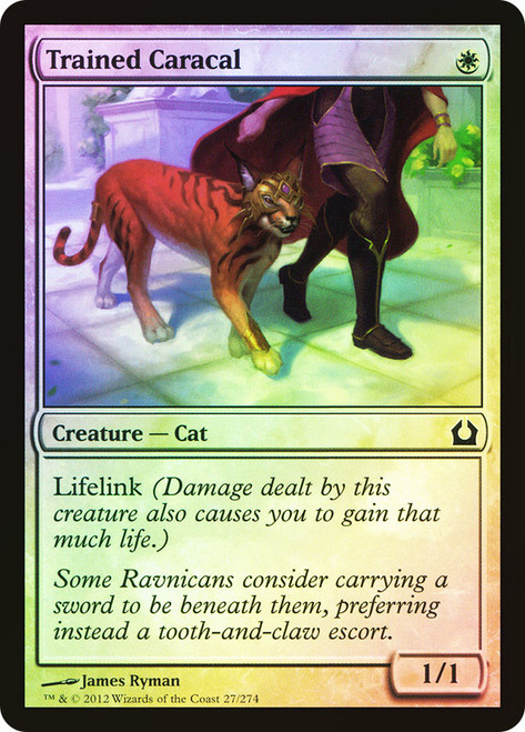 Trained Caracal\nReturn to Ravnica\nSingle\nMagic The Gathering