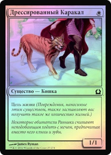 Trained Caracal
Return to Ravnica (Foil) - Russian
Single
Magic The Gathering