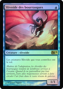 Galerider Sliver
Magic 2014 Core Set (Foil) - French
Single
Magic The Gathering