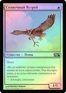 Suntail Hawk | 9th Edition - Russian | Star City Games
