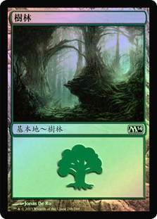 Forest (#248)
Magic 2014 Core Set (Foil) - Chinese Traditional
Single
Magic The Gathering