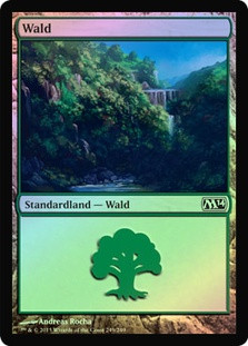 Forest (#249) | Magic 2014 - Chinese - Simplified | Star City Games