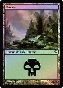 Swamp (#240)
Theros (Foil) - French
Single
Magic The Gathering