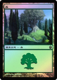 Forest (#247)
Theros (Foil) - Japanese
Single
Magic The Gathering