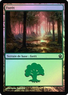 Forest (#248)
Theros (Foil) - French
Single
Magic The Gathering