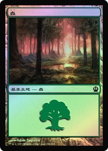 Forest (#248)
Theros (Foil) - Japanese
Single
Magic The Gathering