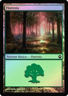Forest (#248)
Theros (Foil) - Portuguese
Single
Magic The Gathering