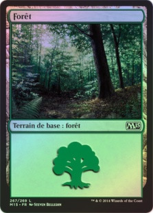 Forest (#267)
Magic 2015 Core Set (Foil) - French
Single
Magic The Gathering