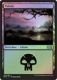 Swamp (#260)
Magic 2015 Core Set (Foil) - Italian
Single
Magic The Gathering