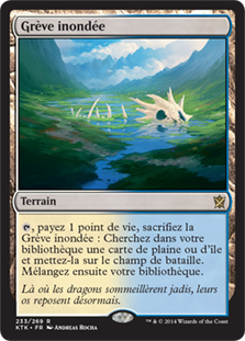 Flooded Strand
Khans of Tarkir - French
Single
Magic The Gathering