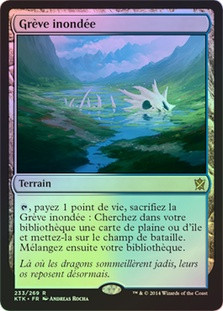 Flooded Strand
Khans of Tarkir (Foil) - French
Single
Magic The Gathering
