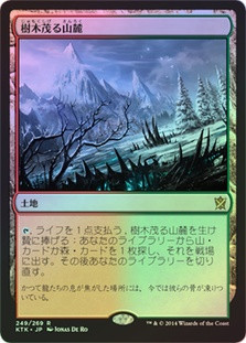 Wooded Foothills
Khans of Tarkir (Foil) - Japanese
Single
Magic The Gathering