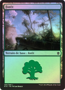 Forest (#266)
Khans of Tarkir (Foil) - French
Single
Magic The Gathering