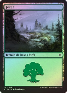 Forest (#267)
Khans of Tarkir (Foil) - French
Single
Magic The Gathering