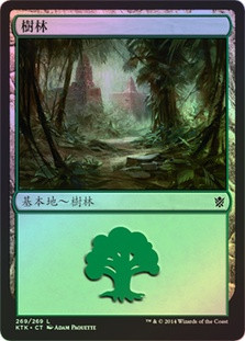 Forest (#269)
Khans of Tarkir (Foil) - Chinese Traditional
Single
Magic The Gathering
