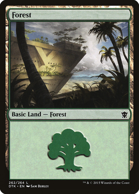 Forest (#262)\nDragons of Tarkir\nSingle\nMagic The Gathering