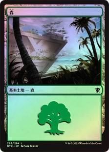 Forest (#262)
Dragons of Tarkir (Foil) - Japanese
Single
Magic The Gathering