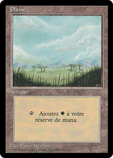 Plains (A) (BB)
3rd Edition BB - French
Single
Magic The Gathering