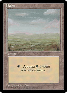 Plains (C) (BB)
3rd Edition BB - French
Single
Magic The Gathering