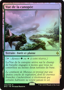 Canopy Vista
Battle for Zendikar (Foil) - French
Single
Magic The Gathering