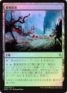 Spawning Bed
Battle for Zendikar (Foil) - Japanese
Single
Magic The Gathering