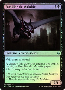 Malakir Familiar
Battle for Zendikar (Foil) - French
Single
Magic The Gathering