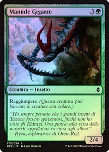 Giant Mantis
Battle for Zendikar (Foil) - Italian
Single
Magic The Gathering