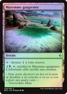 Blighted Fen
Battle for Zendikar (Foil) - French
Single
Magic The Gathering