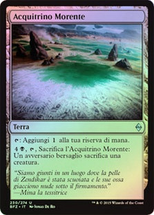 Blighted Fen
Battle for Zendikar (Foil) - Italian
Single
Magic The Gathering