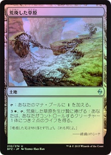 Blighted Steppe
Battle for Zendikar (Foil) - Japanese
Single
Magic The Gathering