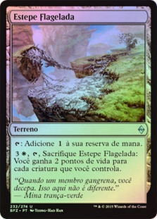 Blighted Steppe
Battle for Zendikar (Foil) - Portuguese
Single
Magic The Gathering