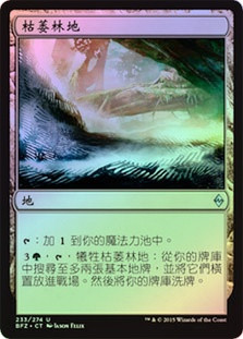 Blighted Woodland
Battle for Zendikar (Foil) - Chinese Traditional
Single
Magic The Gathering