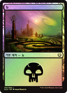 Swamp (#257)
Kaladesh (Foil) - Korean
Single
Magic The Gathering