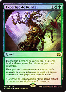 Rishkar's Expertise
Aether Revolt (Foil) - French
Single
Magic The Gathering